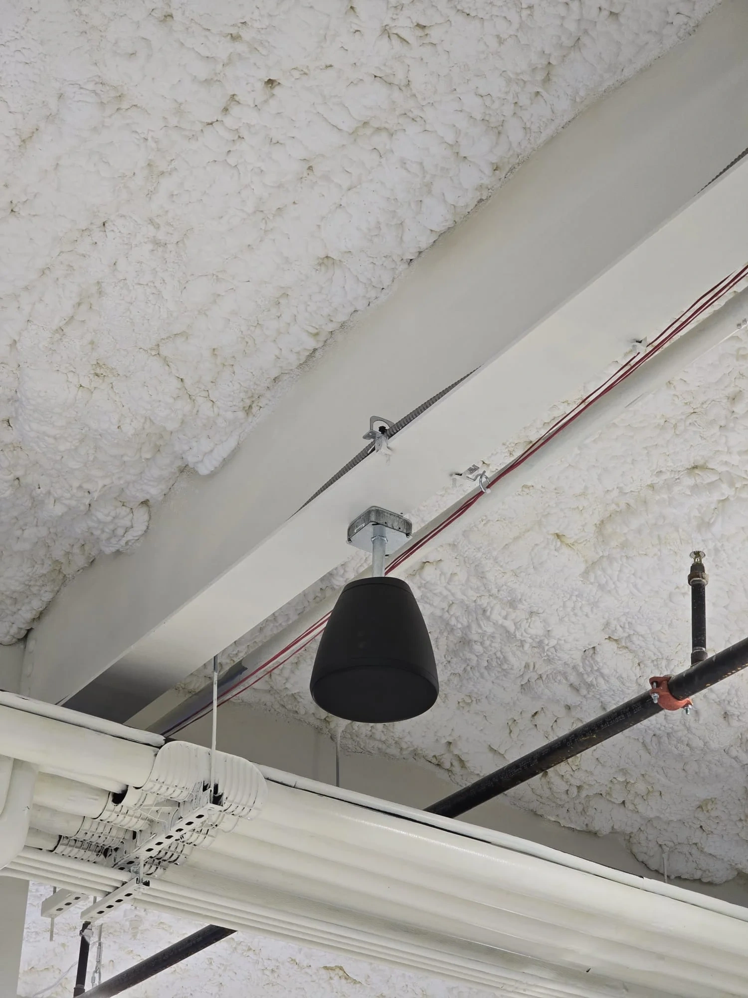 Ceiling-mounted dome security camera for business surveillance