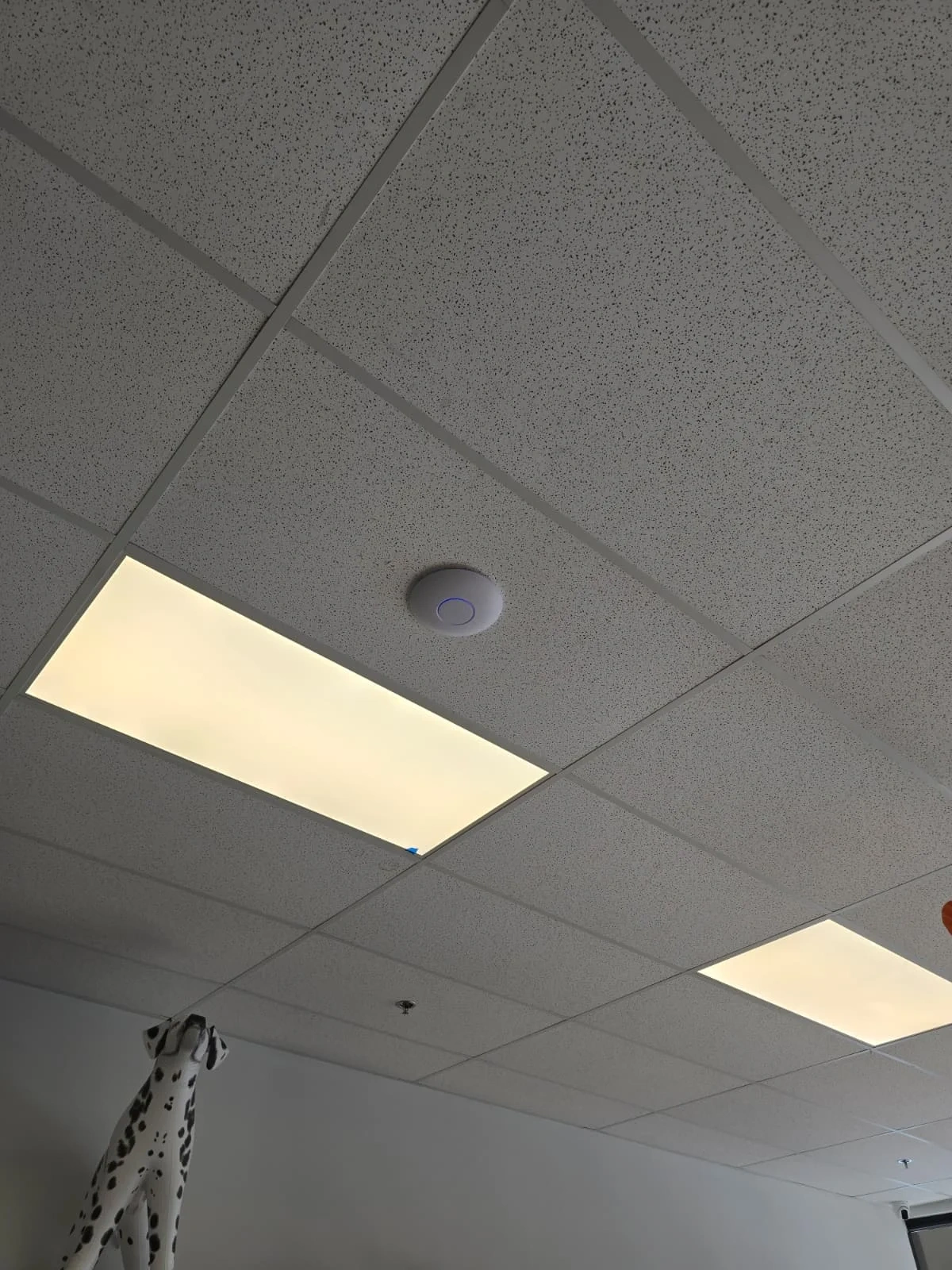 Office ceiling dome camera installed for indoor surveillance