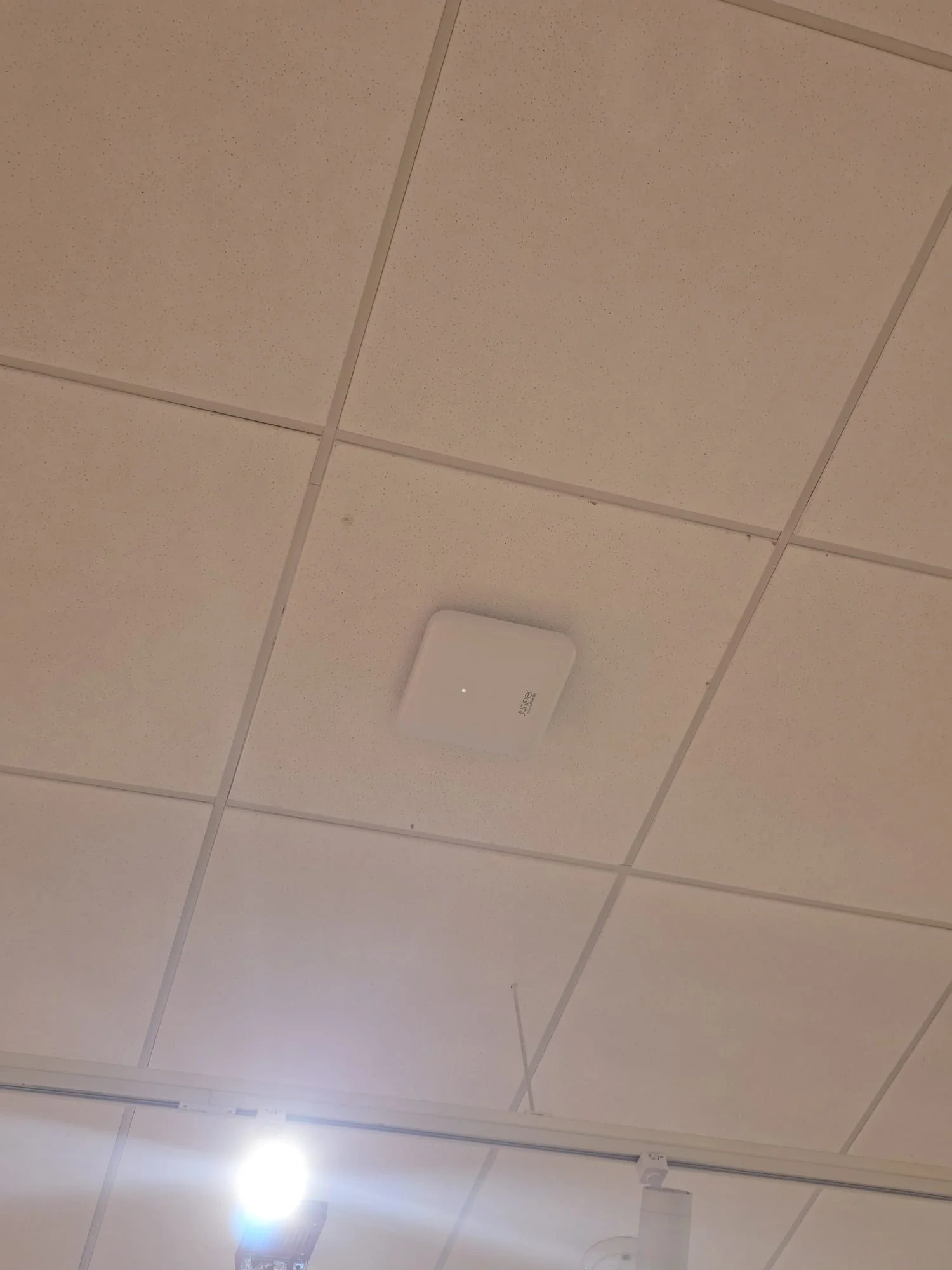 Ceiling-mounted WiFi access point installation in a New Jersey office
