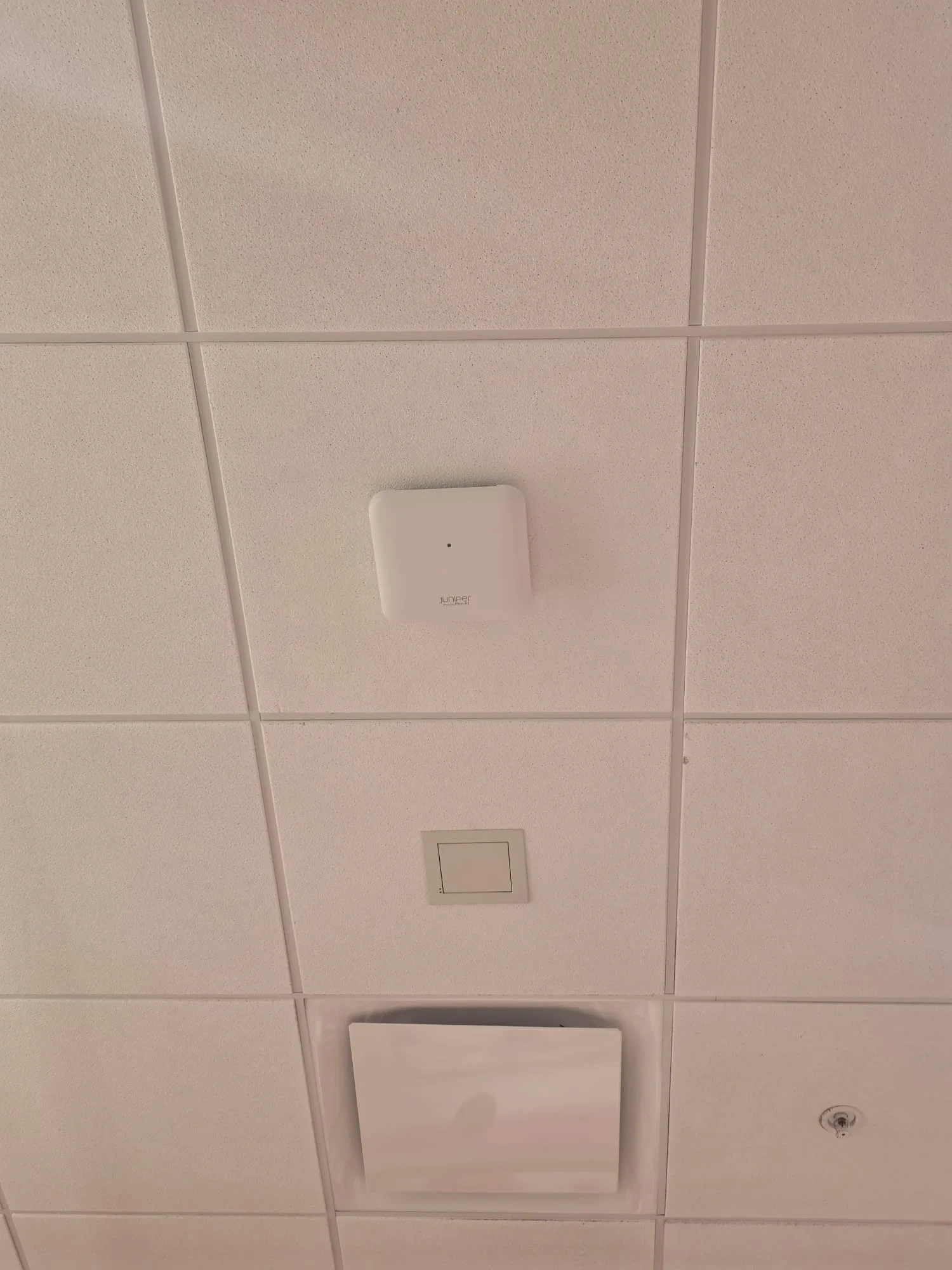 Ceiling WiFi access point installed for reliable office wireless coverage