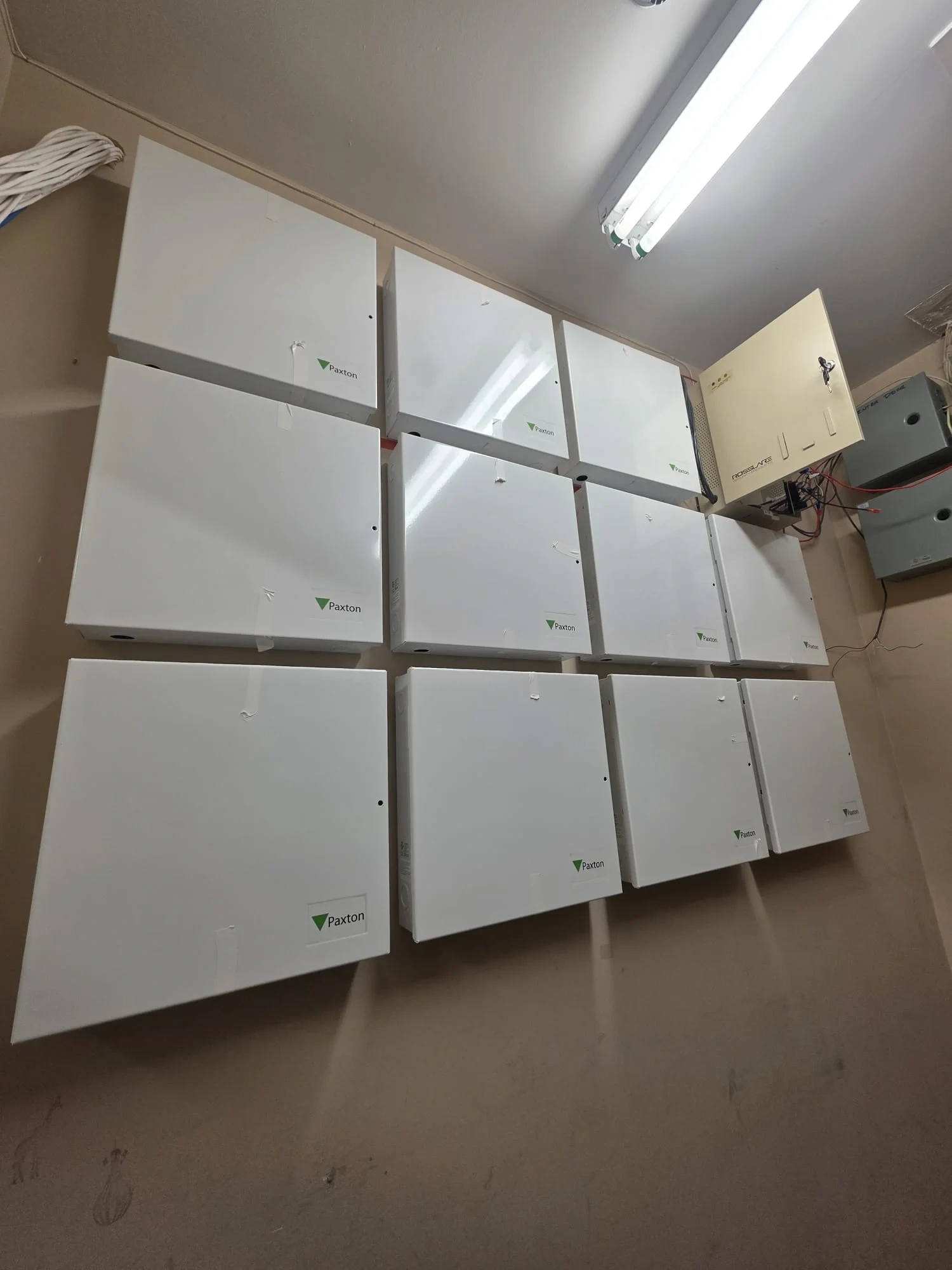 Structured network cabling routed above a suspended office ceiling